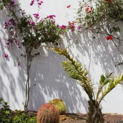 Отель Aparthotel Esquinzo Y Monte Del Mar фото 6
