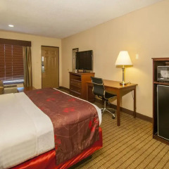 Отель Best Western Vicksburg Inn 2* Стандартный номер с различными типами кроватей фото 12