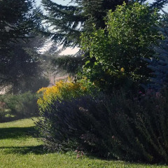 Отель Aparthotel Biosostenible JardÍn Del RÍo Cuervo Трагасете