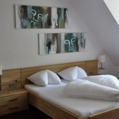 Hotel Goldener Löwe 3* Улучшенный люкс с различными типами кроватей фото 4