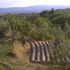 Отель B&B Il Maraviglio Реггелло фото 4