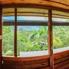 Отель Omega Tours Adventure Company & Eco Jungle Lodge 2* Стандартный номер с различными типами кроватей фото 27