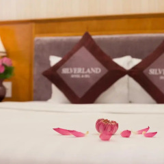 Silverland Hotel & Spa 3* Улучшенный номер с различными типами кроватей