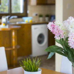 Отель Buena Vista Villa Кипр, Протарас - отзывы, цены и фото номеров - забронировать отель Buena Vista Villa онлайн помещение для мероприятий фото 2
