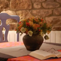 Отель Albergue el Musgoso