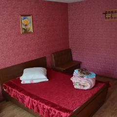 Гостиница Спартак Номер Эконом с разными типами кроватей фото 3