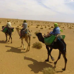 Отель Bivouac Karim Sahara Марокко, Загора - отзывы, цены и фото номеров - забронировать отель Bivouac Karim Sahara онлайн спортивное сооружение