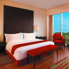 Отель Trident, Hyderabad 5* Стандартный номер с различными типами кроватей