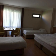 EMSA Palace Hotel Стандартный номер с различными типами кроватей фото 2