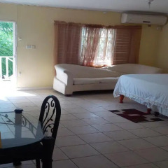 Отель Kingston Paradise Place Guesthouse Студия с различными типами кроватей фото 14