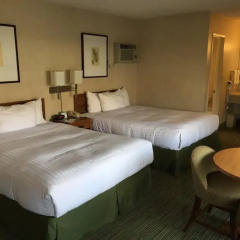 Отель Vagabond Inn Los Angeles at USC 2* Стандартный номер с различными типами кроватей фото 3