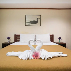 Отель Stefans Guesthouse 3* Номер Делюкс с различными типами кроватей фото 2