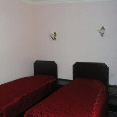 Diana Hotel 4* Стандартный номер с разными типами кроватей фото 5