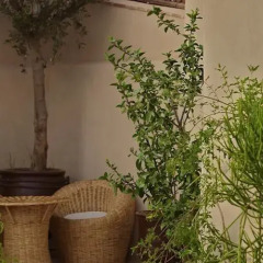 Отель Riad Tawanza Марокко, Марракеш - отзывы, цены и фото номеров - забронировать отель Riad Tawanza онлайн