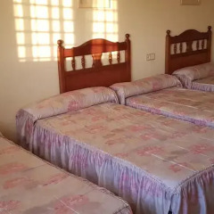 Hotel Reina Isabel Льейда детские мероприятия фото 2