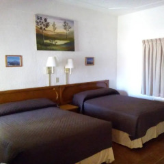 Las Palmas Hotel удобства в номере