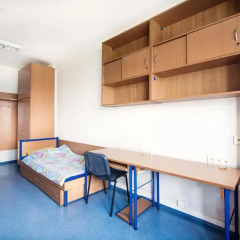 Dizzy Daisy Hostel Riviera Стандартный номер с различными типами кроватей (общая ванная комната) фото 3
