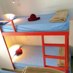 Asleep Hostel детские мероприятия фото 2