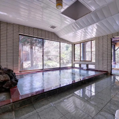 Отель Sachinoyu Onsen Насусиобара бассейн