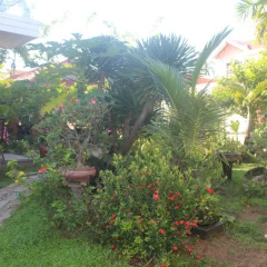 Отель Trust Homestay Villa фото 5