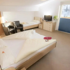 Отель Haus Romeo Alpine Gay Resort - Men 18+ Only 3* Стандартный номер с различными типами кроватей фото 11