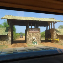 Отель Yala Meedum safari бассейн