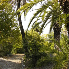 Отель Alberg Mare De Déu De Montserrat - Xanascat Барселона