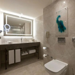 DoubleTree by Hilton Hotel Istanbul - Sirkeci 4* Номер Делюкс с различными типами кроватей фото 6
