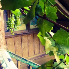 Отель Guest House Chez Ketevan Грузия, Тбилиси - отзывы, цены и фото номеров - забронировать отель Guest House Chez Ketevan онлайн фото 4