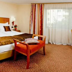 BEST WESTERN City Hotel, BW Premier Collection 4* Стандартный номер с двуспальной кроватью фото 13