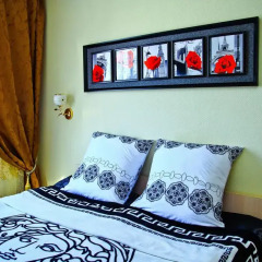 Гостиница Home Стандартный номер с двуспальной кроватью фото 3