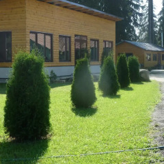 Гостиница Forest Court Беларусь, Могилёв - отзывы, цены и фото номеров - забронировать гостиницу Forest Court онлайн