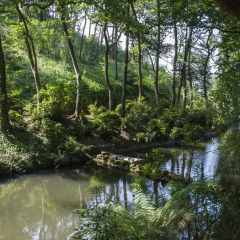 Отель Sintra Sol - Apartamentos Turisticos Студия разные типы кроватей фото 28