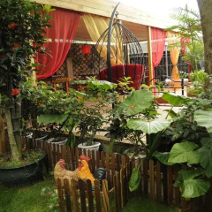 Отель Shuhaiwan Guest House Китай, Сямынь - отзывы, цены и фото номеров - забронировать отель Shuhaiwan Guest House онлайн фото 4