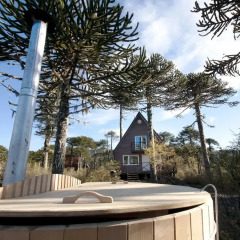 Отель Lodge Conguillio бассейн