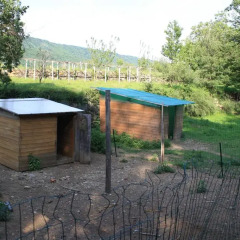 Отель Agriturismo La Campagnetta Кьяверано бассейн