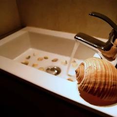 Отель Iris Accommodation ванная