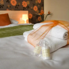 City Hotel Brno Брно спа