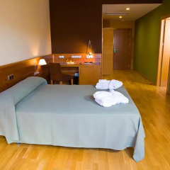 Отель Oca Golf Balneario Augas Santas 4* Стандартный номер с различными типами кроватей фото 4