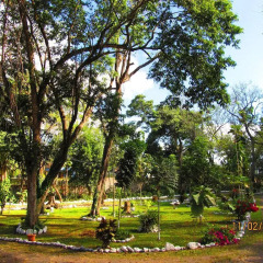 Отель El Bosque Hotel Гондурас, Копан-Руинас - отзывы, цены и фото номеров - забронировать отель El Bosque Hotel онлайн развлечения