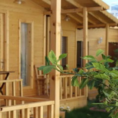 Отель Cilek Butik Otel 3* Бунгало фото 17