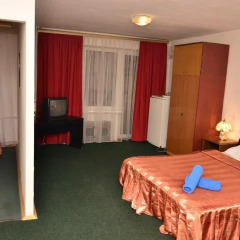 Mini Hotel Vesna Семейные номера Комфорт с двуспальной кроватью фото 5