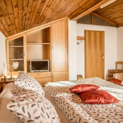 Апартаменты Apartment Grmek Стандартный номер с различными типами кроватей фото 9