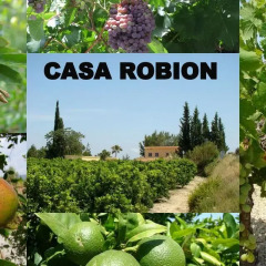 Отель Casa Robion фото 2