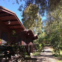 Отель Camping Valle Dei Templi Агридженто фото 5