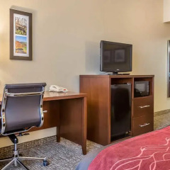 Отель Comfort Inn 2* Стандартный номер с различными типами кроватей фото 4