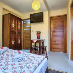 Отель Apartamenty i Pokoje w Willi na Ubocy Студия Делюкс фото 9
