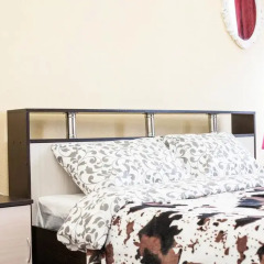 Hotel na Ligovskom 2* Стандартный номер с двуспальной кроватью