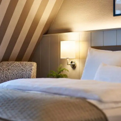 Sachsenpark-Hotel 4* Стандартный номер с различными типами кроватей фото 7