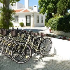 The Wine House Hotel - Quinta da Pacheca спортивное сооружение